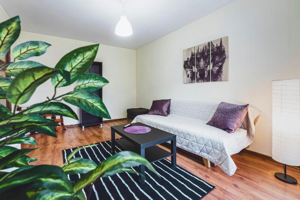 Apartament Niecala Queens Superior Lublin Kültér fotó